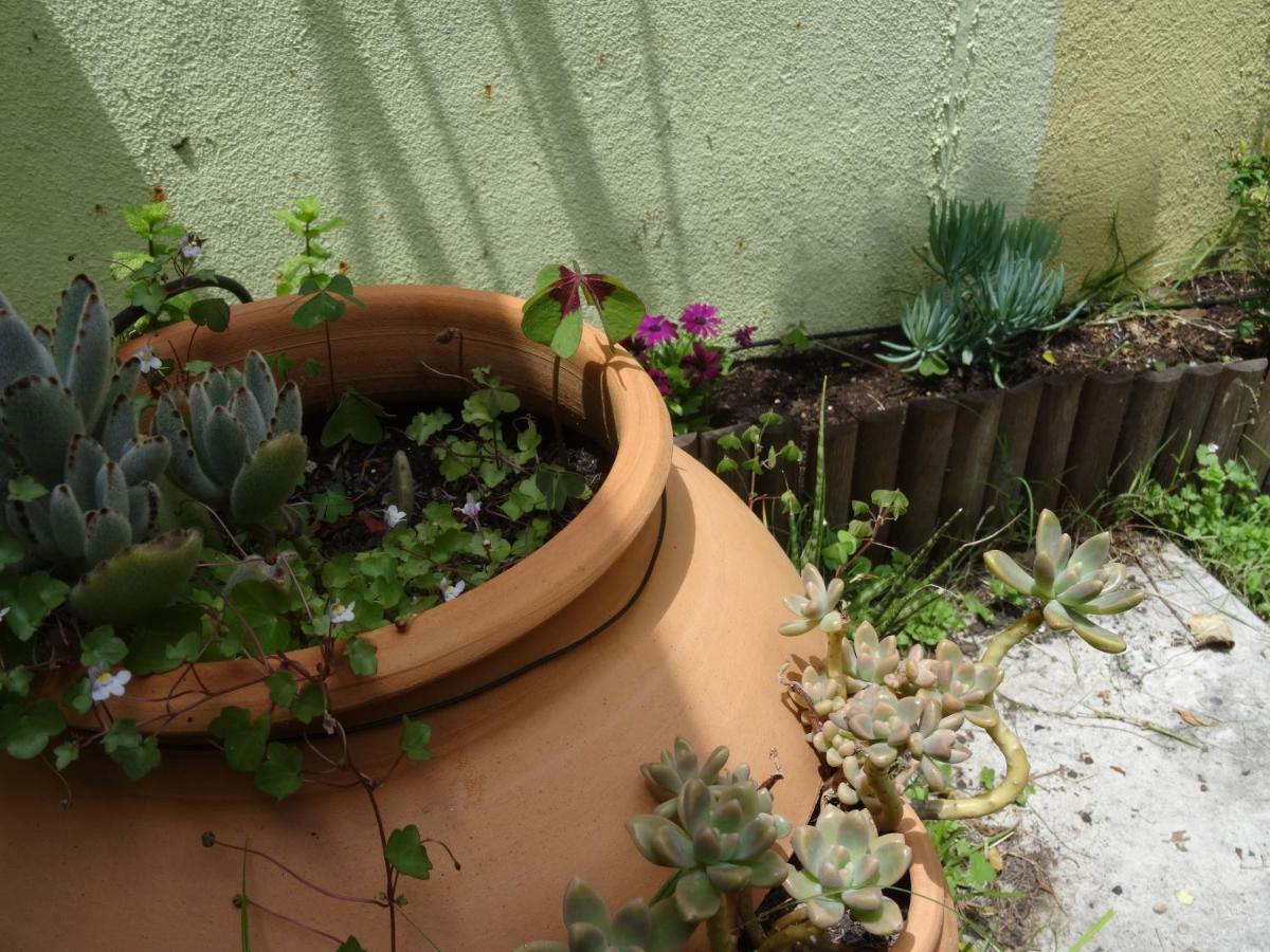 Jardin D'Olisipo - Centre Ville Lisboa Екстериор снимка